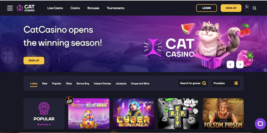 Reseña del casino Cat